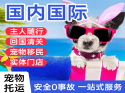 昆明航空邮寄国际宠物托运 【国